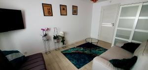 Apartamenty Orchidea Łeba في ليبا: غرفة معيشة مع أريكة وتلفزيون
