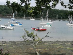 a group of boats are docked in a harbor at Tous à l'ouest in Combrit