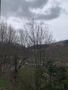 Galería fotográfica de Casa planominguero en Taull