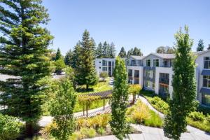 an aerial view of an apartment complex with trees at Mountain View 1BR w Pool Gym nr Target TJ SFO-590 in Mountain View