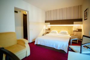 バイレ・ヘルクラネにあるBacolux Afrodita Resort & SPA, Herculaneのベッドと椅子付きのホテルルーム