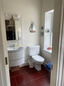 a bathroom with a white toilet and a sink at The Cottage at Riverbank in Ballinamallard