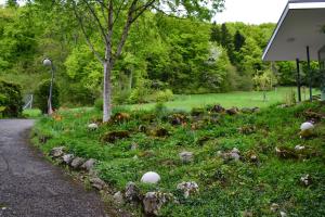 a garden with rocks and flowers in a park at Hotel Erica in Langenbruck