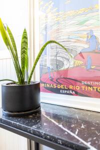 Fotografie z fotogalerie ubytování La casa de Jacobo v destinaci Seville