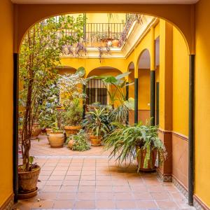 Zahrada ubytování La casa de Jacobo