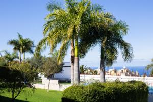 zwei Palmen in einem Park neben dem Wasser in der Unterkunft Home2Book Cozy Apt Santa Úrsula, Sea Views & Pool in Santa Úrsula