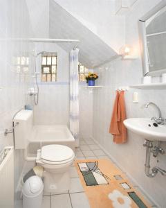 Baño blanco con aseo y lavamanos en An der Seeve, Ferienhaus, en Jesteburg