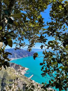 a view of crater lake through the trees at Agriturismo Punta San Lazzaro in Agerola