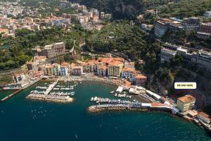 an aerial view of a harbor with boats in the water at DOMUS LINA in Sorrento