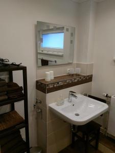y baño con lavabo y espejo. en Birkenhaus, Ferienhaus en Jesteburg