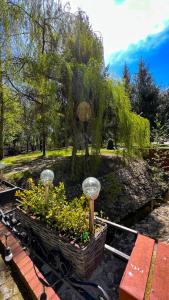 un jardín con un plantador con plantas. en Pod Platanem Gliwice, en Gliwice