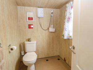a small bathroom with a toilet and a shower at Ardea in Norwich