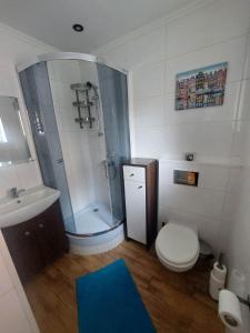 uma casa de banho com um chuveiro, um WC e um lavatório. em Funky garage studio em Gdansk