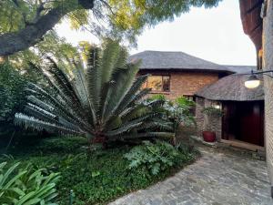 a palm tree in front of a house at Shepherd Lodge in Johannesburg