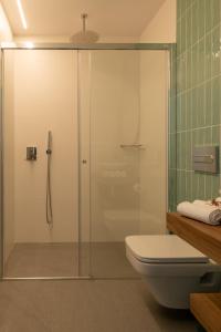 a bathroom with a glass shower with a toilet at A Oliveira in Vilaboa
