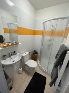Kúpeľňa v ubytovaní Penzion 7 pokojů