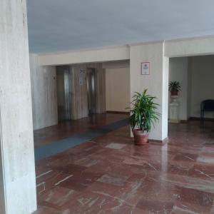 an empty lobby with a potted plant in a building at Estudio Taupe in Matalascañas