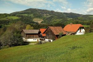 Příroda nedaleko apartmánu