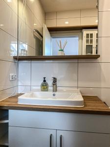 a bathroom with a white sink and a mirror at FEWO Alex in Oberstaufen