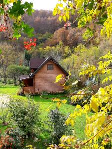 a small wooden cabin in a field of grass at Janjske otoke - smještaj na selu (Milorad Piljić) in Šipovo