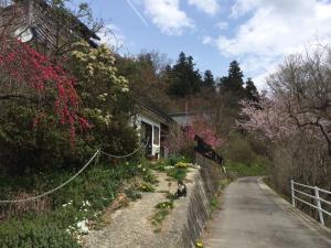 un gato caminando por un camino al lado de una casa en Guesthouse In Lak'ech - Vacation STAY 03558v, en Kami-ikusaka