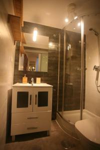 y baño con ducha, lavabo y aseo. en Coqueto Estudio en Malasaña, en Madrid