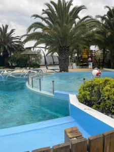 a pool at a resort with palm trees at Mer et soleil in Les Sables Vignier