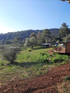 uma vista para um campo com uma casa ao fundo em Field Of Possibilites - Kayakoy Retreat em Kayakoy