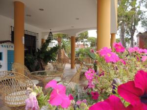 Сад в PARAISO PLAYA Hotel