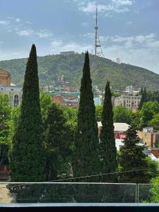 um grupo de árvores em frente a uma cidade em Bridge Hotel em Tbilisi