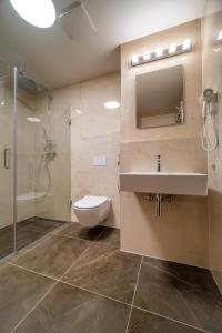 uma casa de banho com um WC, um lavatório e um chuveiro em Molo Lipno Apartment B201 Lipno Home em Lipno nad Vltavou