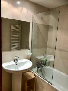 uma casa de banho com um lavatório e um chuveiro com um espelho. em Casa Lauré II - PANTICOSA em Panticosa