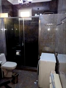 a bathroom with a shower and a toilet and a sink at White House in Bălţi