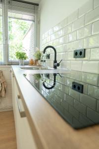 a kitchen with a sink and a counter top at 't Bunga huiske in Lanaken