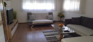 salon z kanapą i telewizorem w obiekcie Ferienhaus Lina w mieście Neusiedl am See