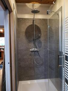 um chuveiro numa casa de banho com uma porta de vidro em Brandhof 