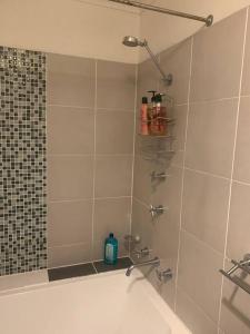 a bathroom with a shower with a bath tub at Plush 2 bedroom apartment Kingston in Kingston 