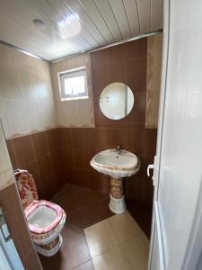 a small bathroom with a sink and a toilet at Kochalidze family in Batumi