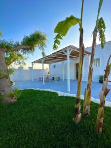 a pavilion with a picnic table and a palm tree at Villa Santo Stefano in Monopoli