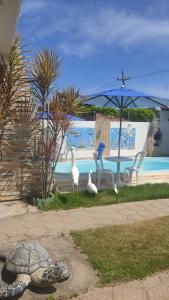 a turtle and some birds and a table and an umbrella at CASA TEMPORADA SÃO JOSE DA COROA GRANDE - PE in São José da Coroa Grande