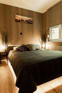 a bedroom with a bed and a window at Black Velvet Apartman in Sisak