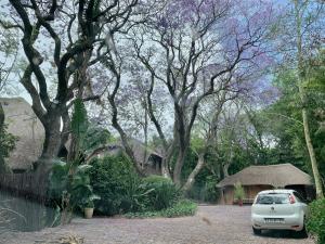 a car parked in front of a house with trees at Shepherd Lodge in Johannesburg