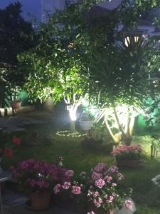 Zahrada ubytování Sofis Garden