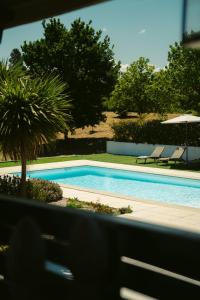 a swimming pool with two chairs and a palm tree at Pura - Home in Nature in Oliveira do Hospital