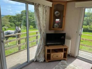 a living room with a television and a horse looking out the window at Farm stay caravan on working farm in Dacre