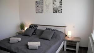 um quarto com uma cama grande e 2 almofadas em FeWo Rübezahl mit Kamin em Bad Harzburg