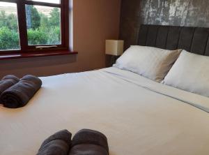 Trawsfynydd的住宿－Nature's Oasis: Pet-Friendly Snowdonia Cottage，卧室配有一张带两个枕头的大白色床