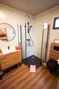 a bathroom with a shower and a sink and a mirror at Tiny Zwick in Apetlon