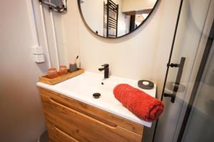 W łazience znajduje się umywalka i lustro. w obiekcie Tiny Zwick w mieście Apetlon