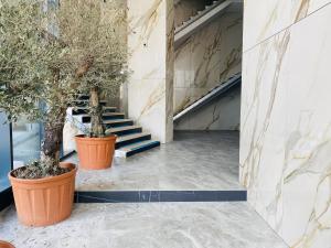 dois vasos de árvores em vasos ao lado de uma escada em Evadări Urbane, 2 en-suite studios, Cazino, Mamaia em Mamaia